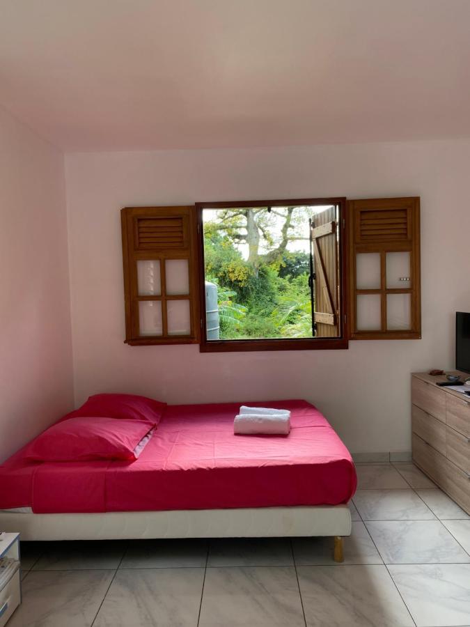 Les Gites Du Sud - O Naturel Gourbeyre Exterior photo